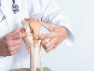 Closeup,,Professional,Doctor,Pointed,On,Area,Of,Model,Knee,Joint.